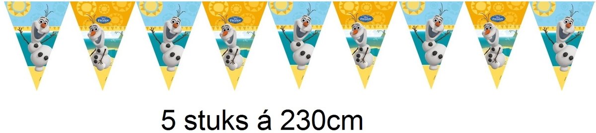 Disney Frozen Olaf slinger - vlaggenlijn | 6 stuks